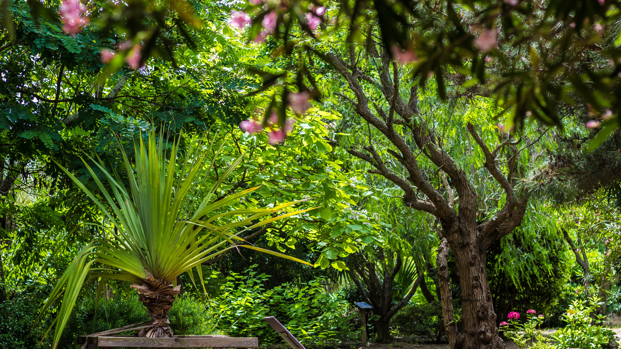 Flâner dans les plus beaux jardins des Pyrénées-Orientales.