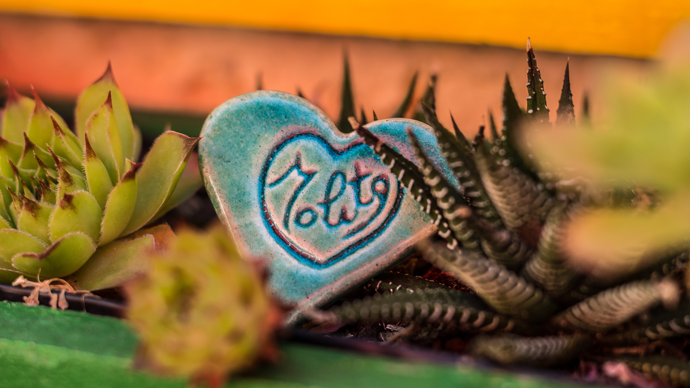 Micro-escapade à Molitg-les-bains : Douceur de vivre & Artisanat.