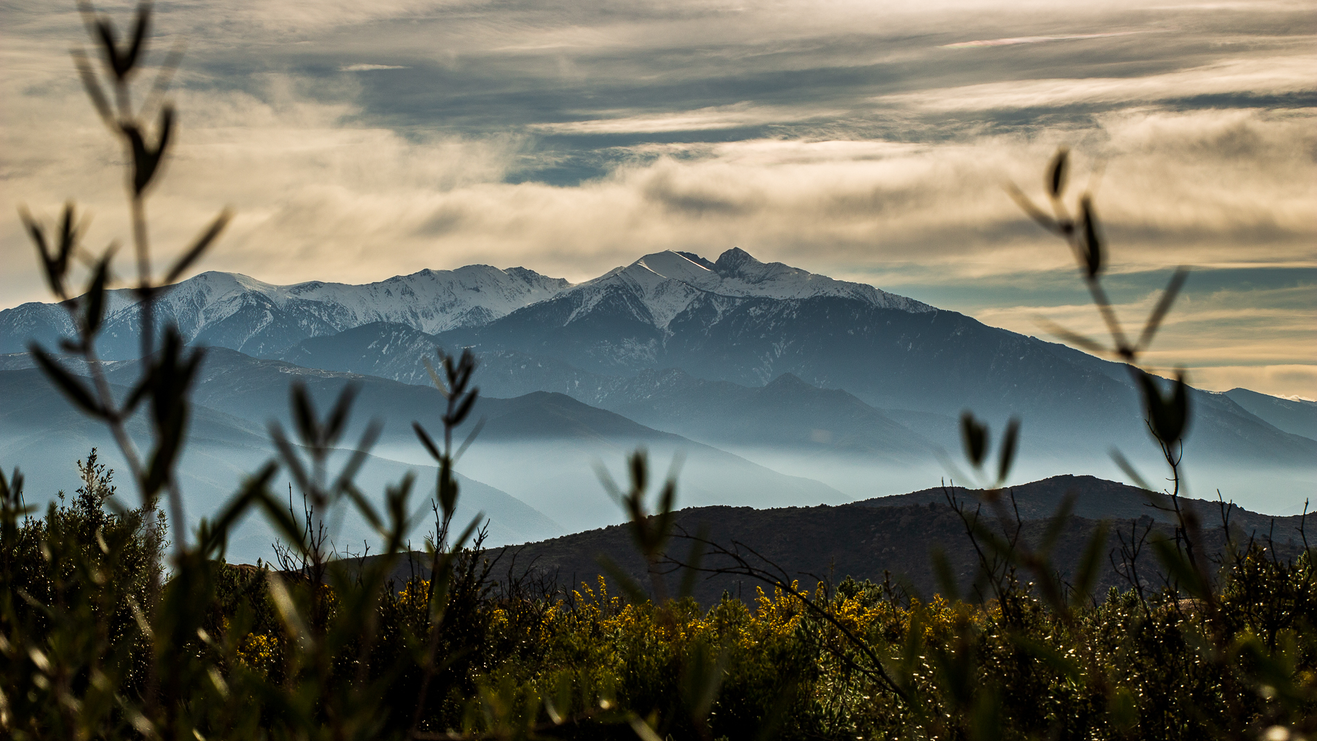 Le Puig Pedrous, la jolie idée de randonnée d’hiver à Ille-sur-Têt.