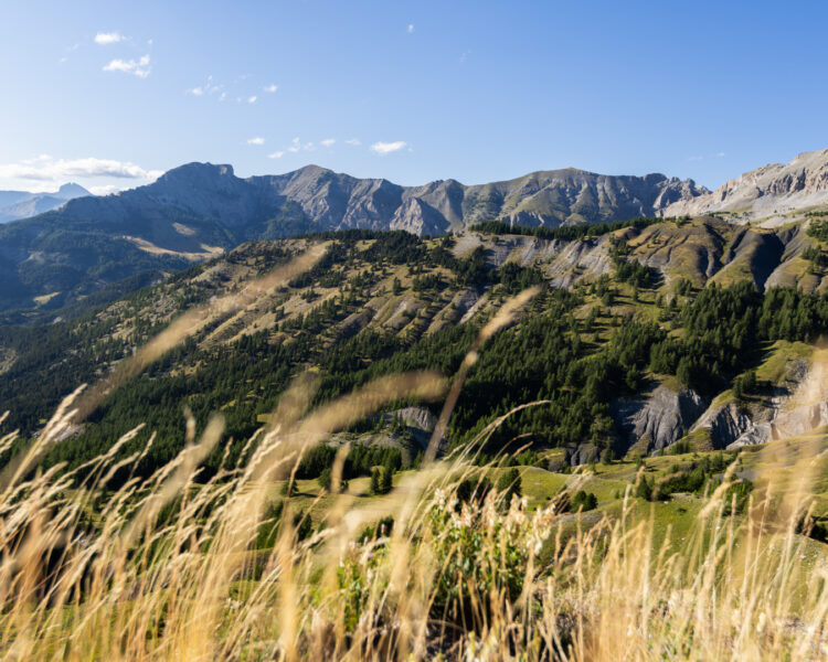 Explorer le Haut-Verdon en famille