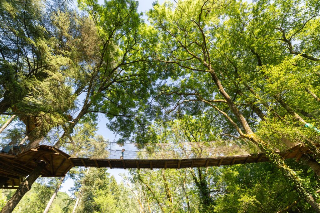 Accro Filets de Filéo Loisirs, une sortie idéale avec des enfants dans la Loire