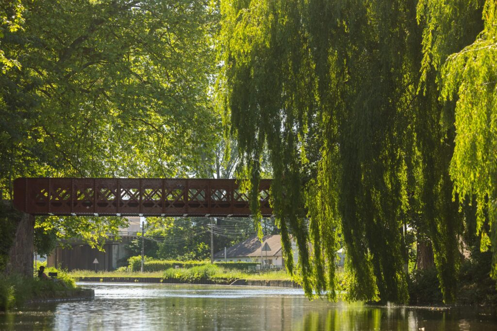 Balade en bateau électrique sans permis sur le canal de Roanne