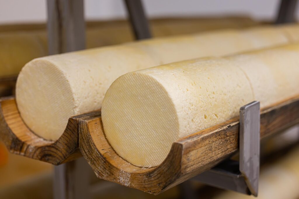 Fabrication de la Fourme de Montbrison, fromage emblématique du Forez