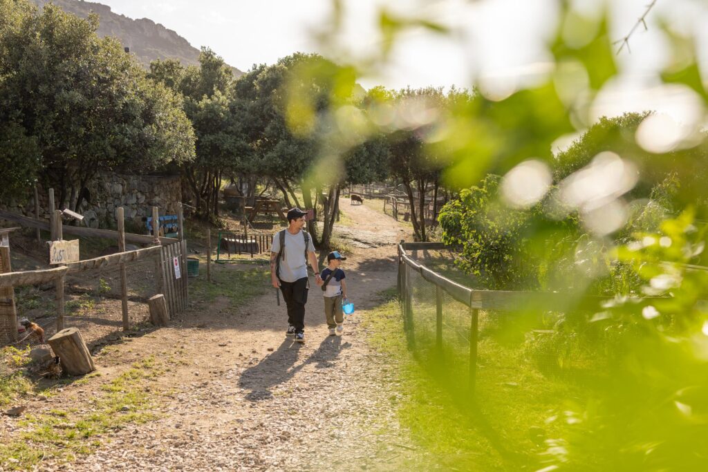 Visite en famille de la ferme pédagogique L’Isula di i Sogni en Balagne
