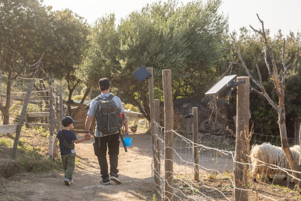 Visite en famille de la ferme pédagogique L’Isula di i Sogni en Balagne