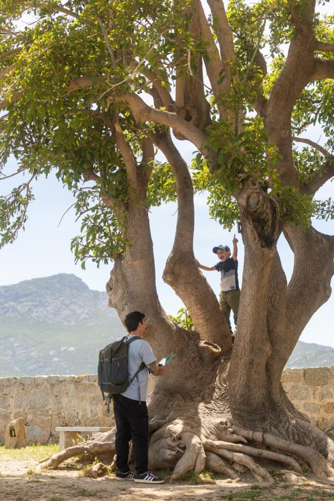 Chasse au trésor dans la citadelle de Calvi