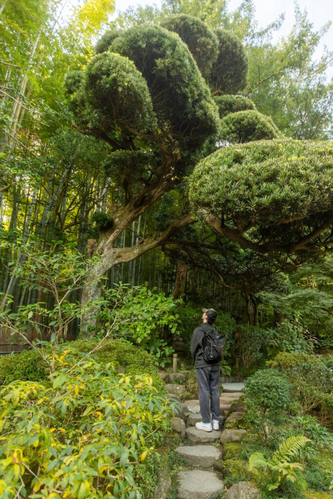Jardin du temple Hōkoku-ji