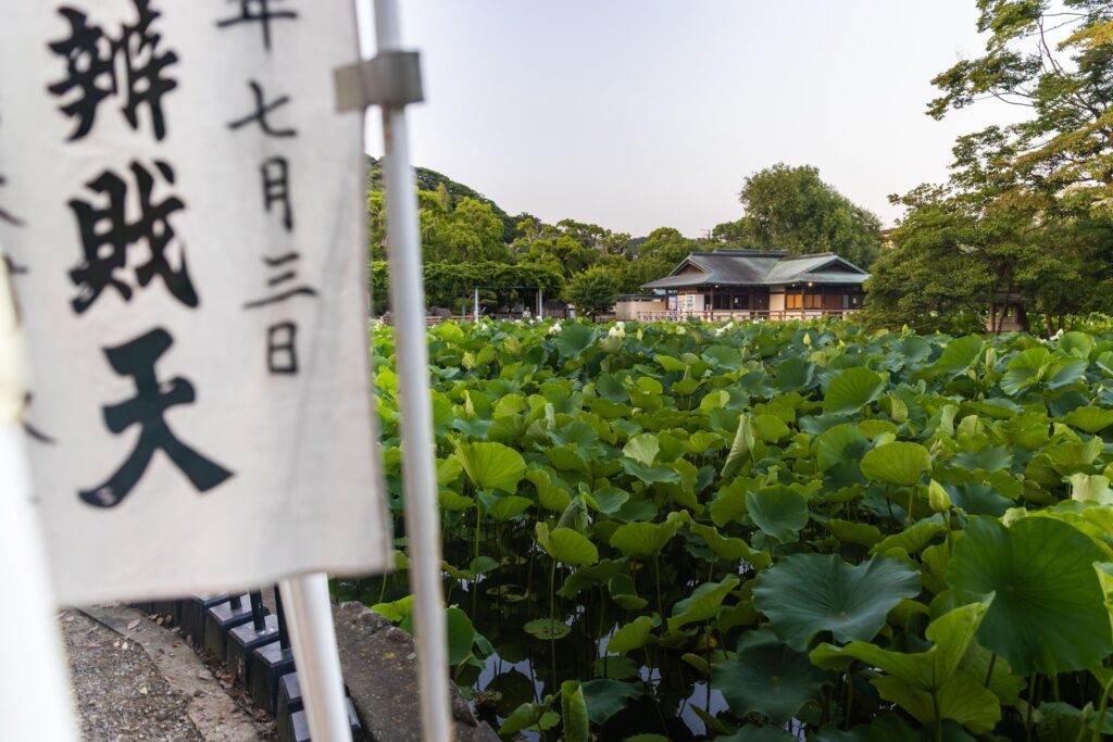 Étang de lotus à Kamakura