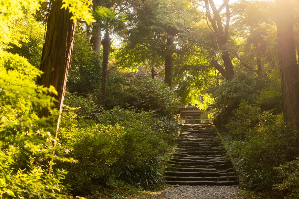 Temple caché dans la forêt de Kamakura