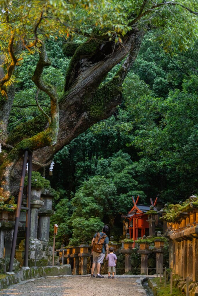 Visiter Kasuga Taisha à Nara