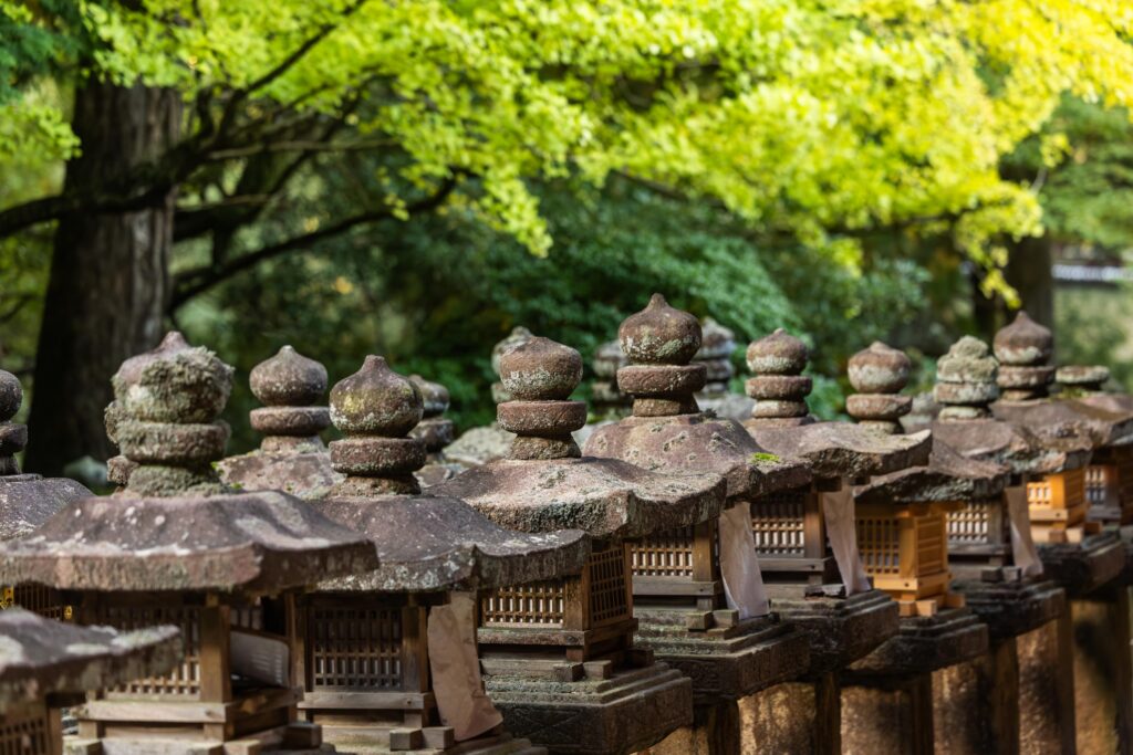 Allée de lanternes au sanctuaire Kasuga Taisha