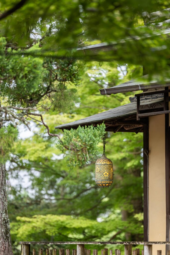 Que faire à Nara au Japon