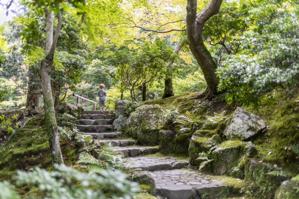 Jardin gratuit de Nara