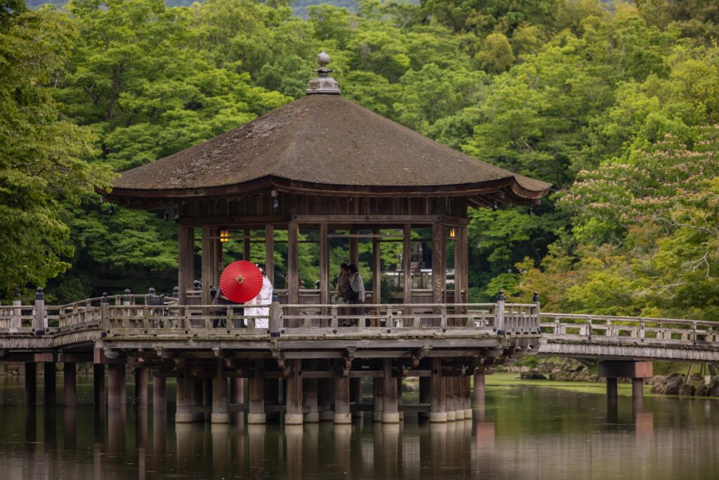 Que voir dans le parc de Nara