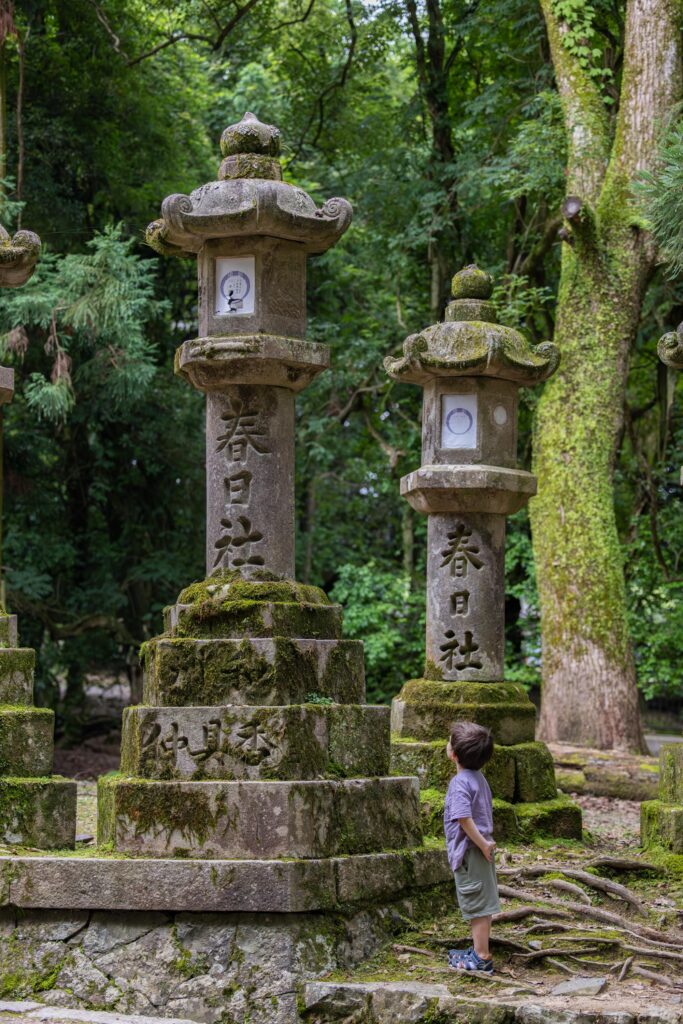 Allée de lanternes au sanctuaire Kasuga Taisha