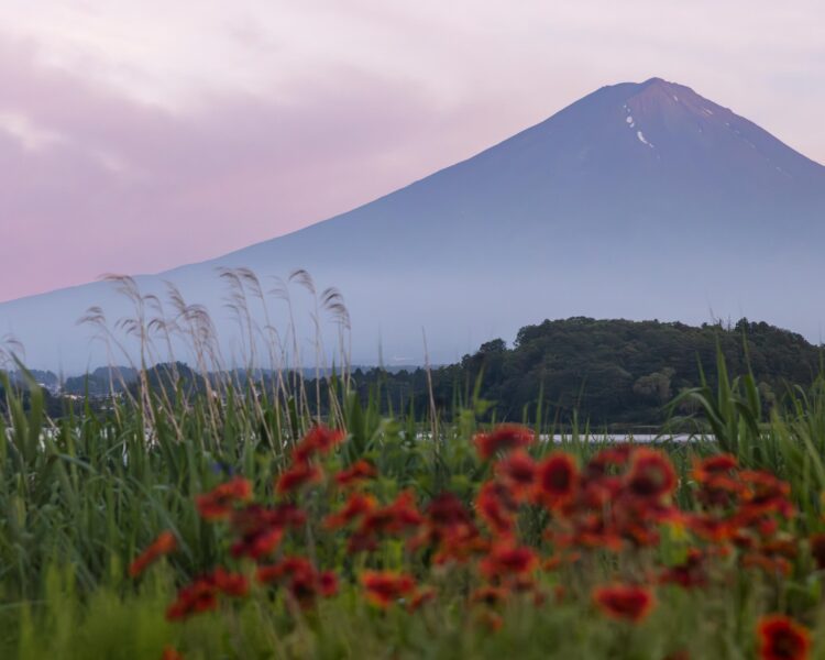 Que faire à Kawaguchiko ? 3 jours au pied du Mont Fuji.