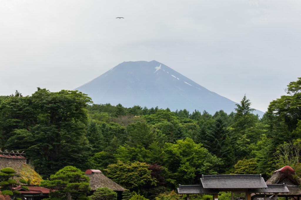 Mont Fuji depuis Oshino Hakkai